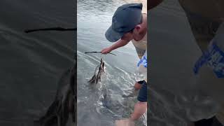 Fish VideoFISHING IN VILLAGE RIVER Short video [upl. by Katt311]