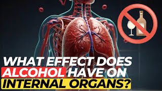 What effect does alcohol have on internal organs [upl. by Pedroza]