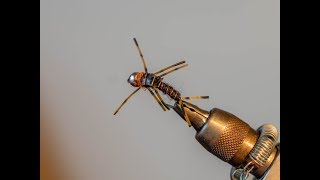 Easy and Effective Stonefly Pattern Nymph Fly Tying [upl. by Ahsita559]