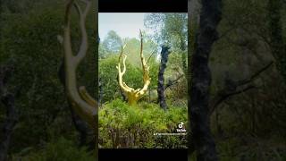 Broceliande histoire folklore archaeology [upl. by Derag]