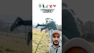 Amazing Animal Escapes How Animals Outsmart Fences  Reaction comedy funny amazinganimals [upl. by Yemac60]