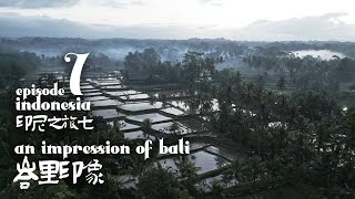 印尼之旅七 峇里印象  Indonesia Episode 7  An Impression of Bali [upl. by Aipotu391]