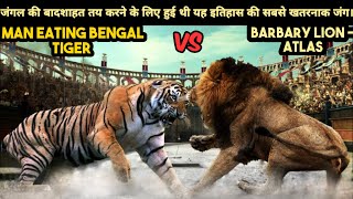 True Story of Fight Between Barbary Lion Atlas and a Man Eating Bengal Tiger of Shimla। Facts Phylum [upl. by Okuy]