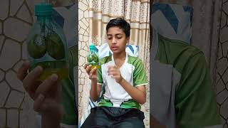 Respiratory system model l class 7th l NCERT l C BSE [upl. by Azilem]