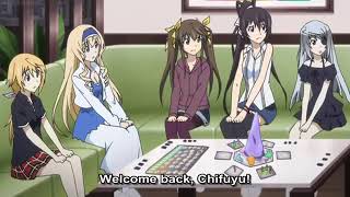 Infinite Stratos  They sound like a married couple [upl. by Neddra]