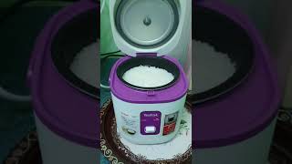 Tefal RK1721 04 Mini Rice Cooker [upl. by Salome662]