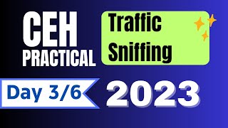 CEH Practical Exam Preparation  Traffic Sniffing  Day 03 [upl. by Arias]