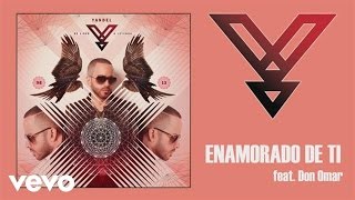 Yandel  Enamorado de Ti Audio ft Don Omar [upl. by Amimej]