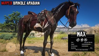 The Most Beautiful Arabian in Red Dead Redemption 2  Warped Brindle Arabian  RDR2  PS4 Slim [upl. by Lateehs684]