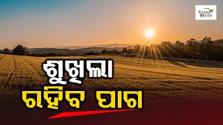 IMD forecasts Dry Weather In Odisha For Next 5 Days  Odisha Weather Update  Odisha Weather News [upl. by Nyleek62]