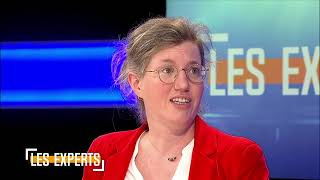 Les Experts reçoivent Catherine Moureaux et Christos Doulkeridis [upl. by Hpesojnhoj]