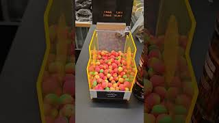 Carp Expo Wallau 2024 BT Baits [upl. by Anazus615]