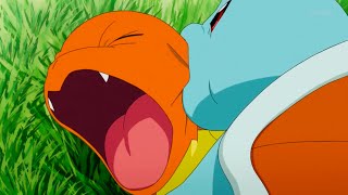 Squirtle bites Charmander meme [upl. by Tisbee575]