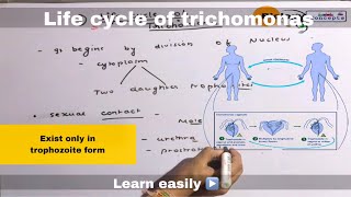 Lifecycle of Schistosomiasis Parasite [upl. by Uliram15]