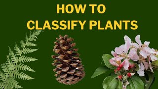 Learn Plant Classification  The Plant Kingdom [upl. by Iretak]