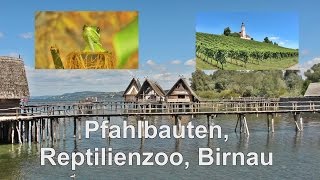 Bodensee  Besuch der Pfahlbauten dem Reptilienzoo und das Kloster Birnau  Unteruhldingen [upl. by Farny906]