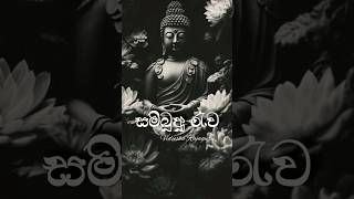 Sambudu Ruwa සම්බුදු රුව Vidusha Rajagurubuddhasinhalasongs [upl. by Aehta]