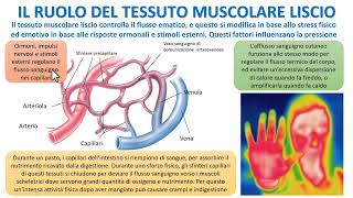 LA STRUTTURA E FUNZIONE DEI VASI SANGUIGNI [upl. by Ettessil]