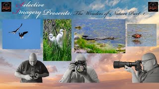 The Wonders of Nature Photography Part One [upl. by Flagler]