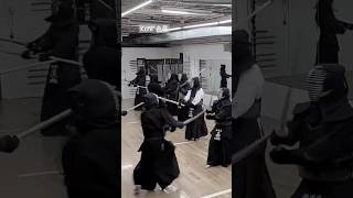 Kendo Kote 손목 kendo cpkendo mkc Kote 검도 손목 SKss [upl. by Ardnuassac]