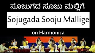 Sojugada Sooju Mallige  Harmonica Vaibhava 2024  Hamsanada foundation [upl. by Aduhey]