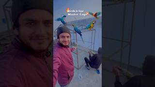 😱Master cage aise bnao🦜 How to make master cage birds shorts parrot animals [upl. by Arretahs]