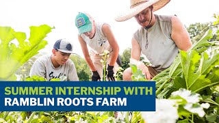 A Fruitful Summer Internship Gulls Farm With Ramblin Roots [upl. by Peyton]