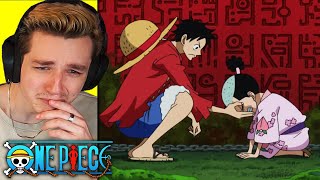 MOMONOSUKE ASKS LUFFY one piece reaction [upl. by Adeuga]