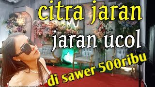 CITRA JARAN JARAN UCOL PART 2  OFFICIAL LIVE MUSIK BY ADELITA MUSIK [upl. by Peterus]