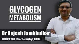 10 Glycogen metabolism Glycogenesis and Glycogenolysis [upl. by Bronwyn]