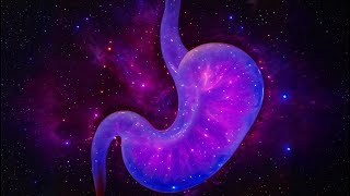 Transform your Health  Frequency to Heal and Enhance Stomach Meridian  432 Hz  Binaural  Music [upl. by Nappie]