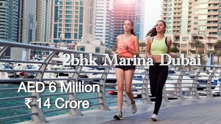 2bhk 14 CRORE AED 6 Million DirhamsCondor Marina Star Residences Marina Dubai [upl. by Clementi210]