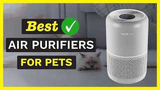 Best Air Purifiers for Pets 2023 TOP 7 Picks ✅ [upl. by Akinnej]