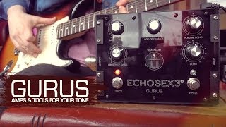 Gurus Amps Echosex 3° FIRST LOOK Chris Buck [upl. by Hillard]