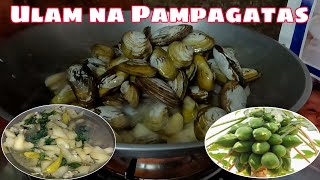 Ulam na PampagatasGinisang Susian sa papaya [upl. by Aigil]