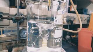 PVA polymer precipitation in water [upl. by Lavern949]