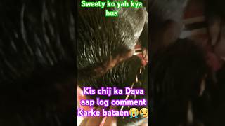 Seatu ko yah Kya Ho Gaya 😭😢aap log comment Mein bataen is chij ka Dava😭 [upl. by Ahsilram]