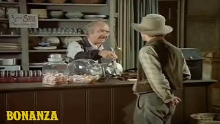 Bonanza temporada  El Frances  Capítulo complet Episodio Completo en Español La [upl. by Airottiv274]