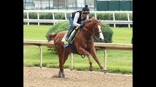 Belmont 2018  Justify sizzles in workout [upl. by Edurtreg]