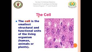 12 histology Cytology  epithelial tissue connective tissue [upl. by Skoorb]