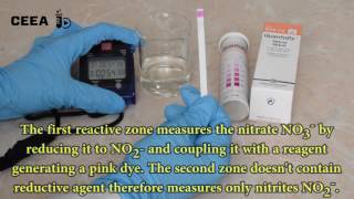 WATER QUALITY TESTING USING NITRATE NITRITE TEST STRIPS [upl. by Yssep666]