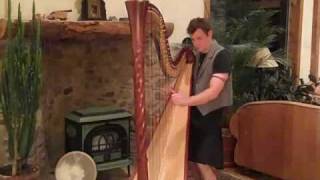 Footstompin Celtic Harp [upl. by Jat993]