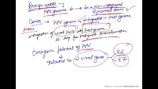 Oncogenic DNA Virus  Human Papilloma virus HPV [upl. by Arakahs]