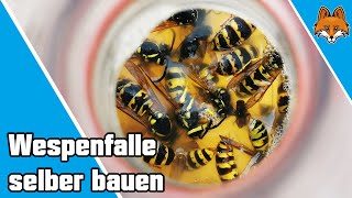 Wespenfalle selber machen  einfach selber bauen 🐝 [upl. by Nbi]