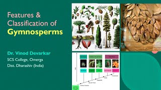 Salient Features amp Classification of Gymnosperms by Dr V D Devarkar [upl. by Nahtannoj]