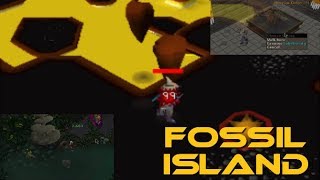 FOSSIL ISLAND MINING AND MORE [upl. by Mutz]