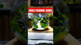 KREASI FISHBOWL DARI MOSS YANG SANGAT KREATIF 😍 [upl. by Aid]