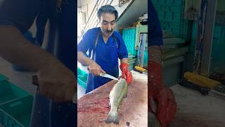 How to fillet a trout for frying fishcutting [upl. by Franzoni]