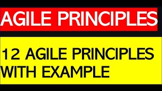 12 Agile Principles  Explained in 5 minutes [upl. by Hsemar]