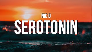 Nic D  Serotonin Lyrics [upl. by Yerrot]